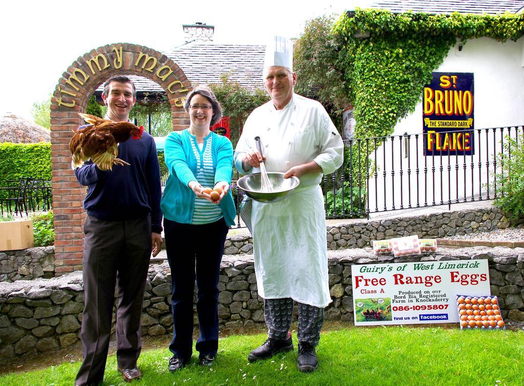 Fitzgeralds Woodlands House Hotel Adare Εξωτερικό φωτογραφία
