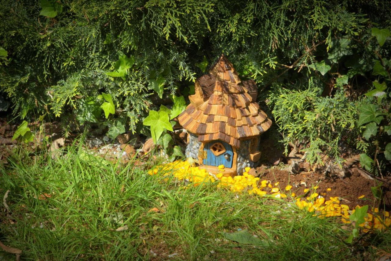 Fitzgeralds Woodlands House Hotel Adare Εξωτερικό φωτογραφία
